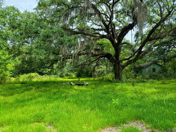$330,000 | Tbd Michel Road, Pierre Part, LA 70339