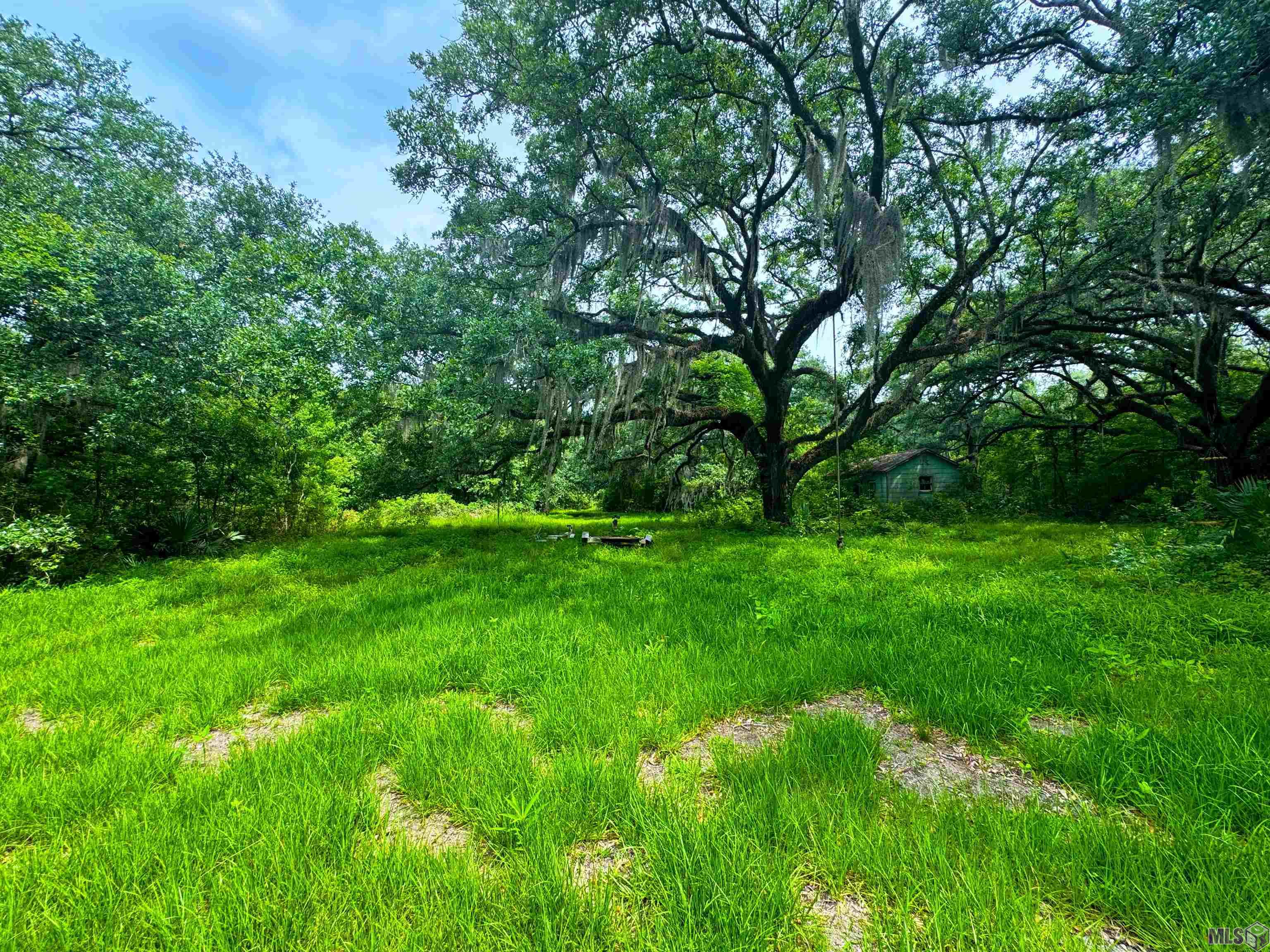 Tbd Michel Road Pierre Part, LA 70339 - Photo 3 of 4