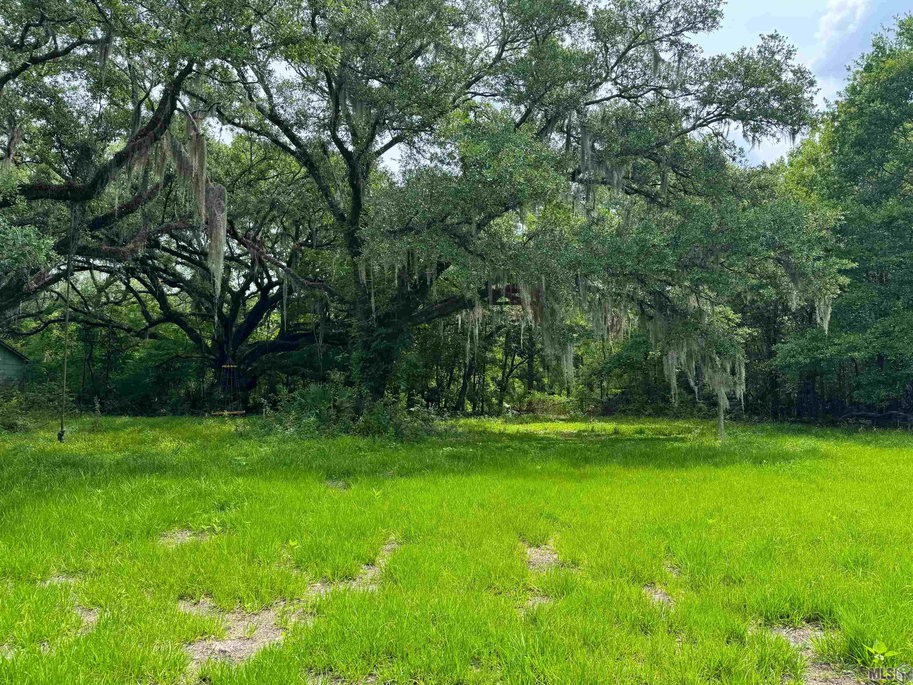 Tbd Michel Road Pierre Part, LA 70339 - Photo 4 of 4