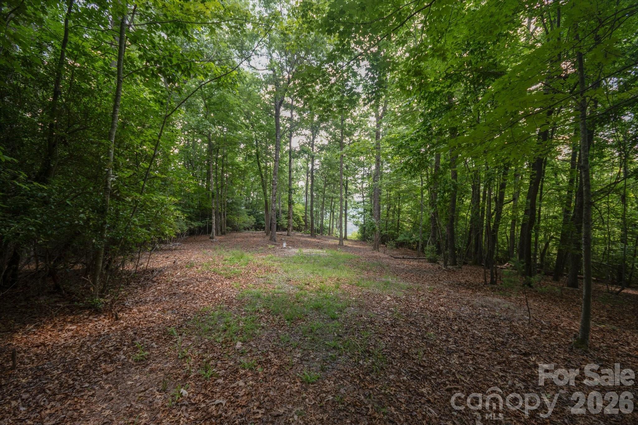 Tbd Reserve Road, Unit 16 Pisgah Forest, NC 28768 - Photo 5 of 18