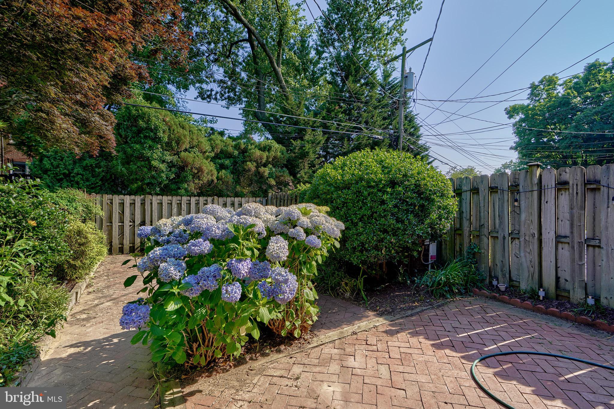 219 Stanmore Road Baltimore, MD 21212 - Photo 47 of 50 REAR EXTERIOR