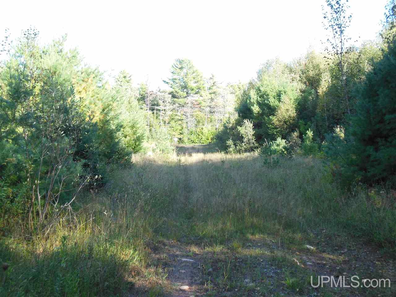 0 Tapiola Road Chassell, MI 49916 - Photo 2 of 6 Gallery Image 2