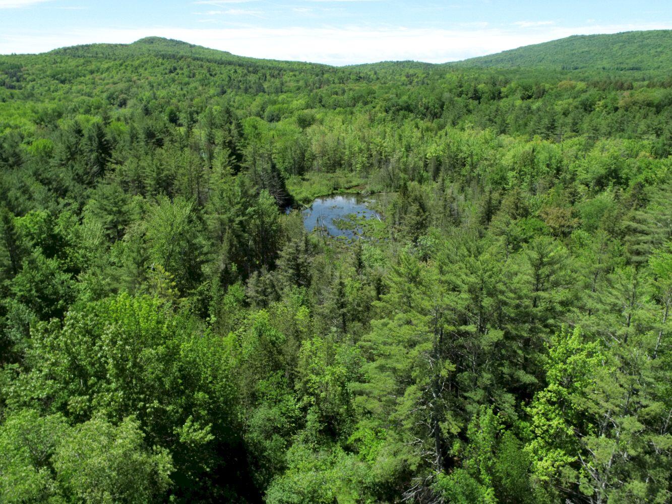 28 Nichols Hill Road Bingham, ME 04920 - Photo 13 of 78 DJI_0035