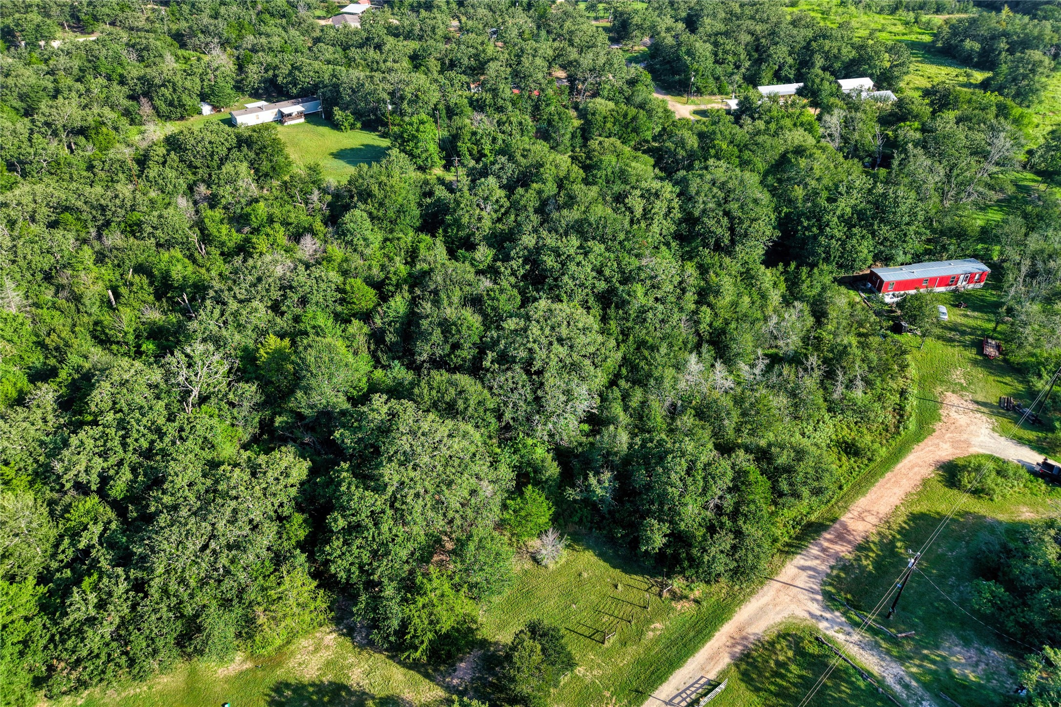 805 Wilderness Road Somerville, TX 77879 - Photo 16 of 19 Gallery Image 16