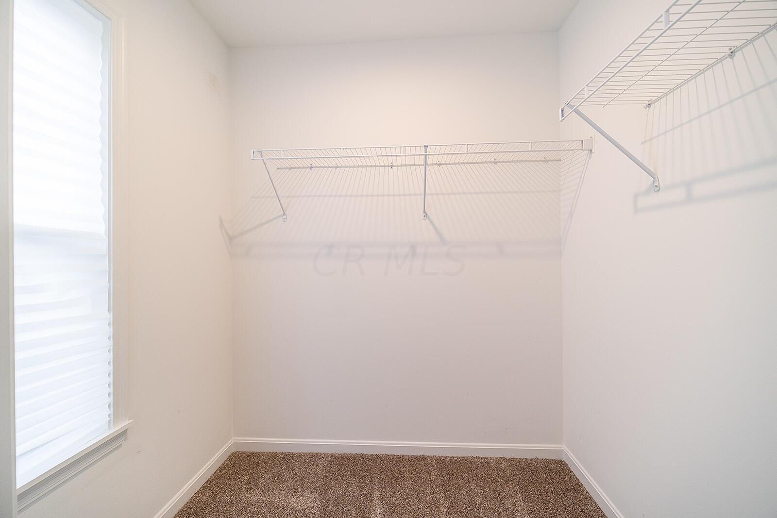 178 Harness Way Delaware, OH 43015 - Photo 38 of 70 178 Harness Way-63