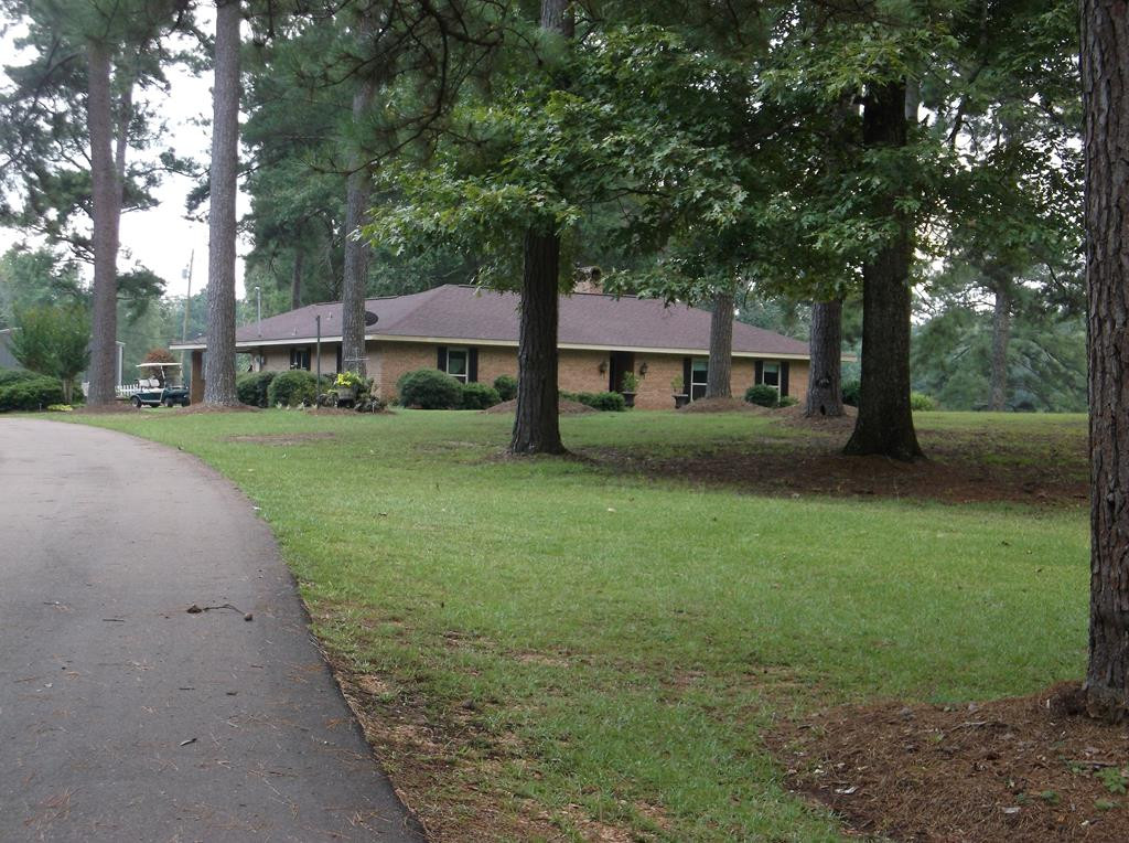 Main View