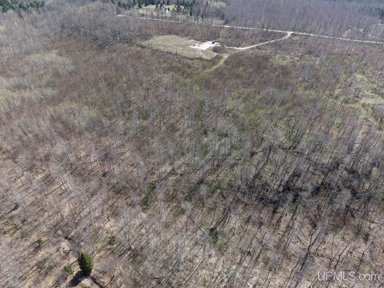 2493 Letson Road Gulliver, MI 49840 - Photo 14 of 56