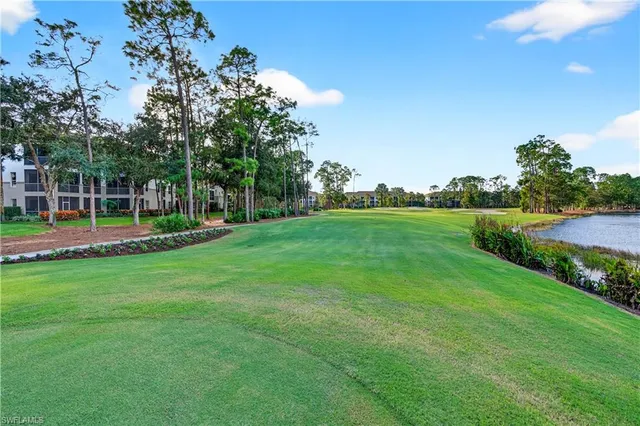 a view of a park with large trees