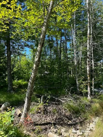 $74,500 | Lot 8 Winter Hill Lane, Monson, ME 04464