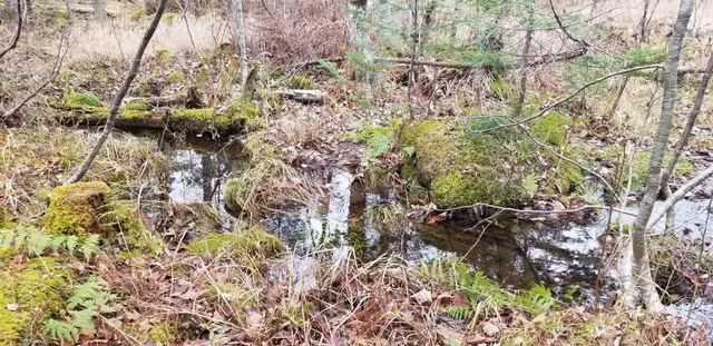 $74,500 | Lot 8 Winter Hill Lane, Monson, ME 04464