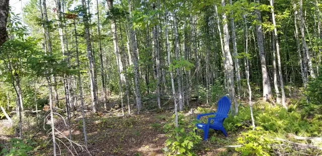 $74,500 | Lot 8 Winter Hill Lane, Monson, ME 04464