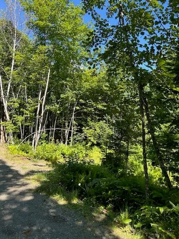 $74,500 | Lot 8 Winter Hill Lane, Monson, ME 04464