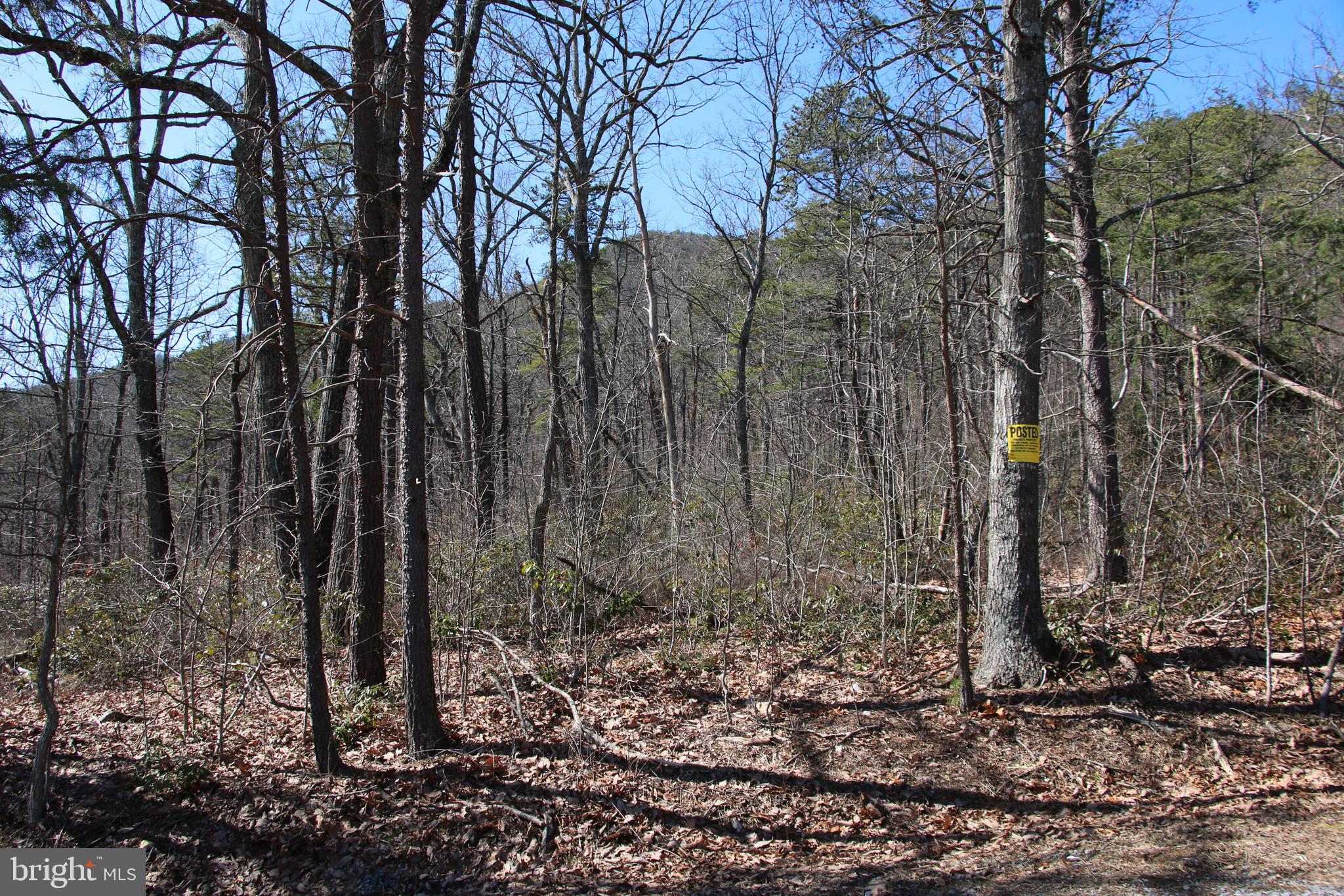 Shipwreck Road Shenandoah, VA 22849 - Photo 1 of 12 Gallery Image 1
