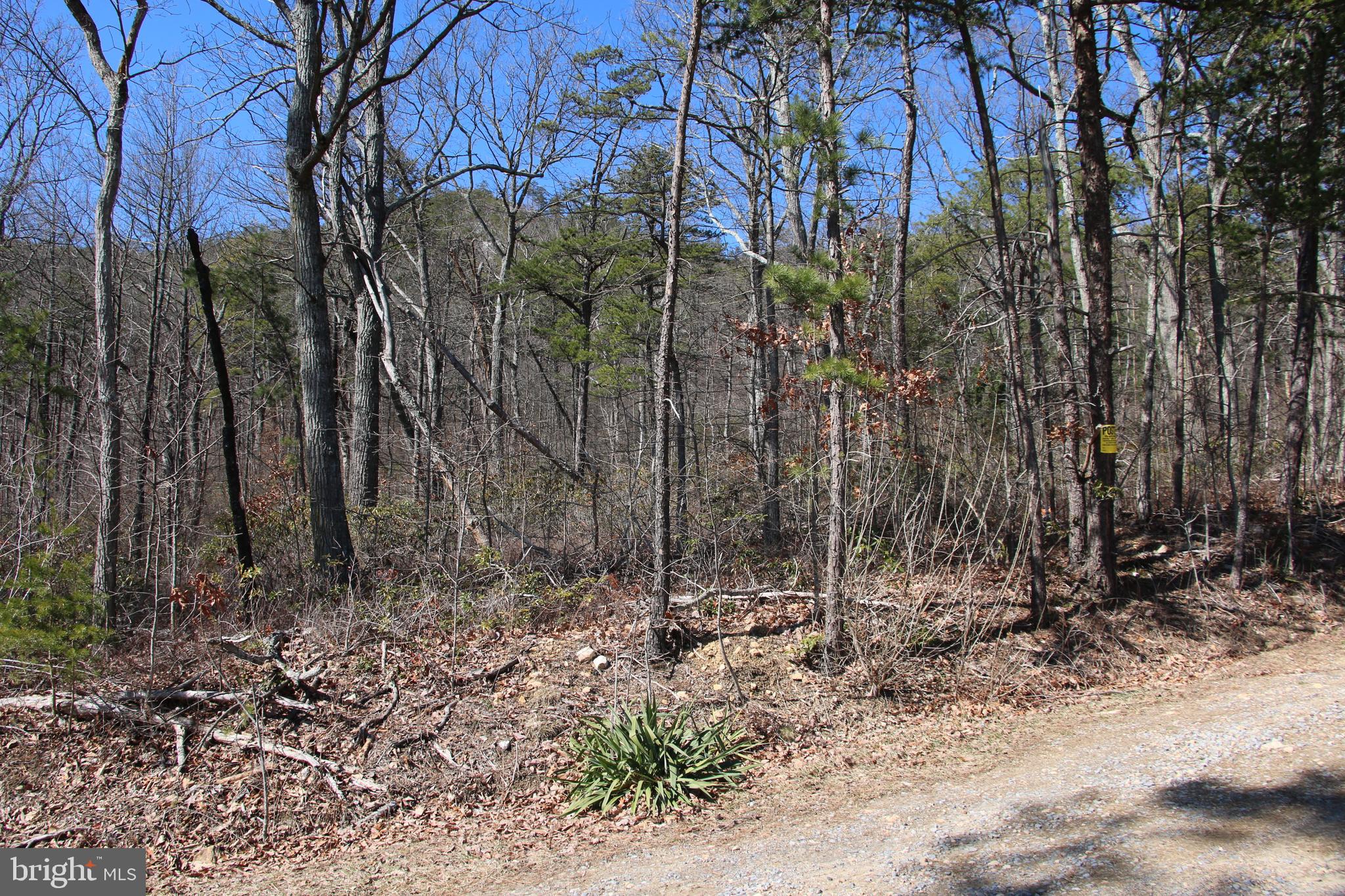 Shipwreck Road Shenandoah, VA 22849 - Photo 2 of 12 Gallery Image 2