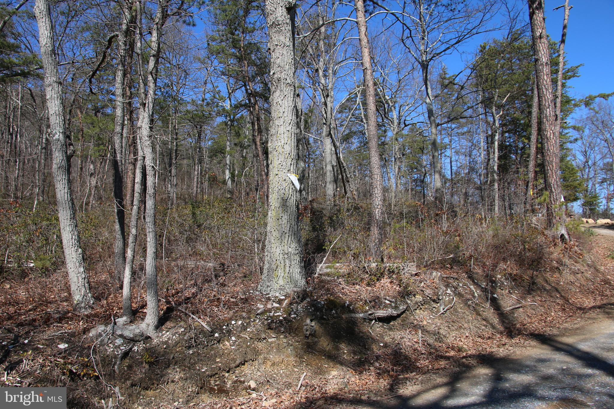 Shipwreck Road Shenandoah, VA 22849 - Photo 3 of 12 Gallery Image 3