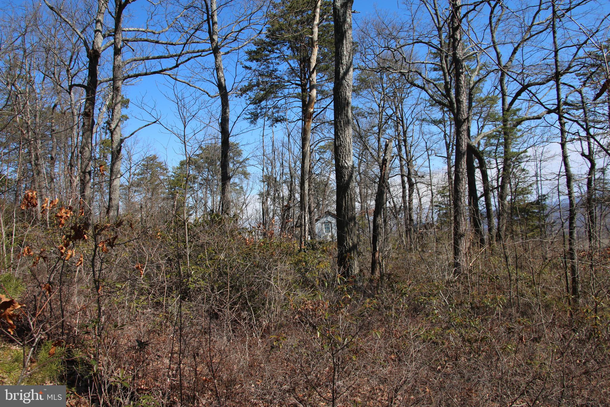 Shipwreck Road Shenandoah, VA 22849 - Photo 4 of 12 Gallery Image 4