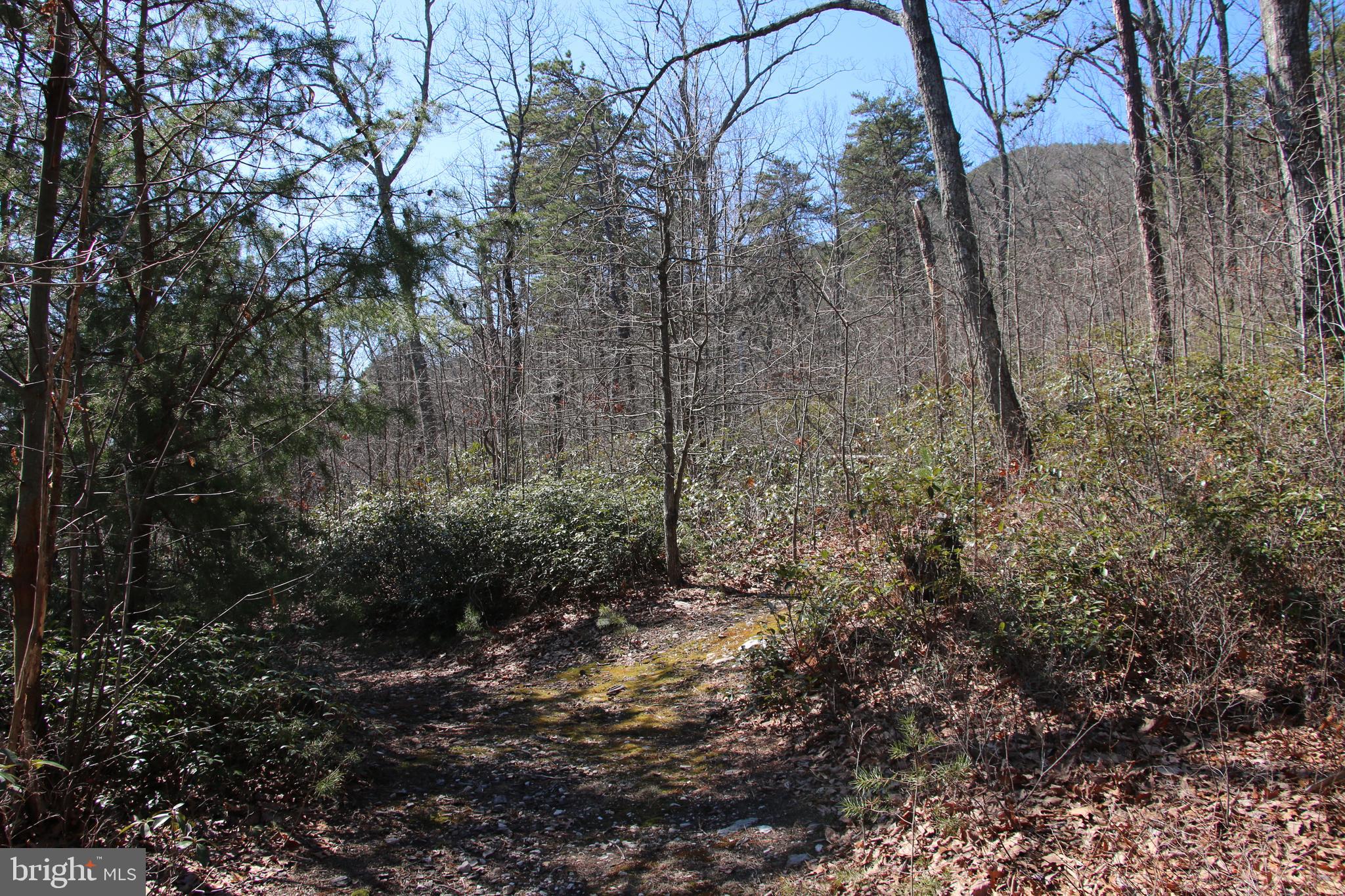 Shipwreck Road Shenandoah, VA 22849 - Photo 5 of 12 Gallery Image 5