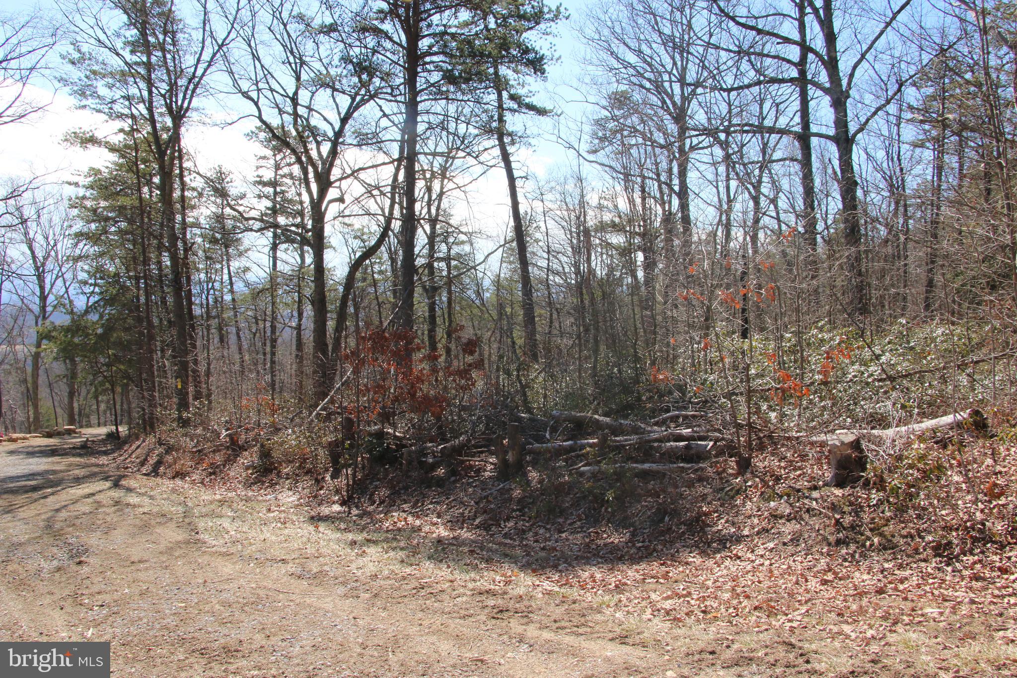 Shipwreck Road Shenandoah, VA 22849 - Photo 6 of 12 Gallery Image 6