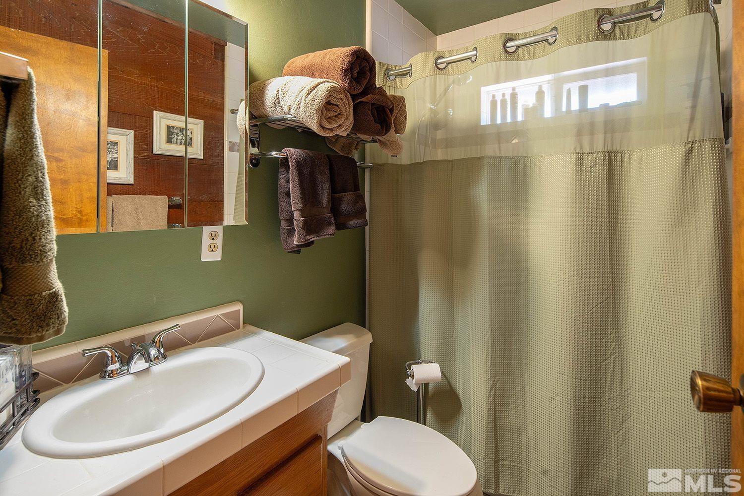 2090 Lousetown Road Reno, NV 89521 - Photo 18 of 30 a bathroom with a sink a toilet and shower