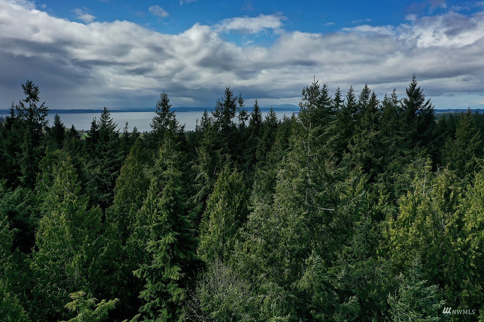 0 Fiske Road Clinton, WA 98236 - Photo 11 of 15 Gallery Image 11