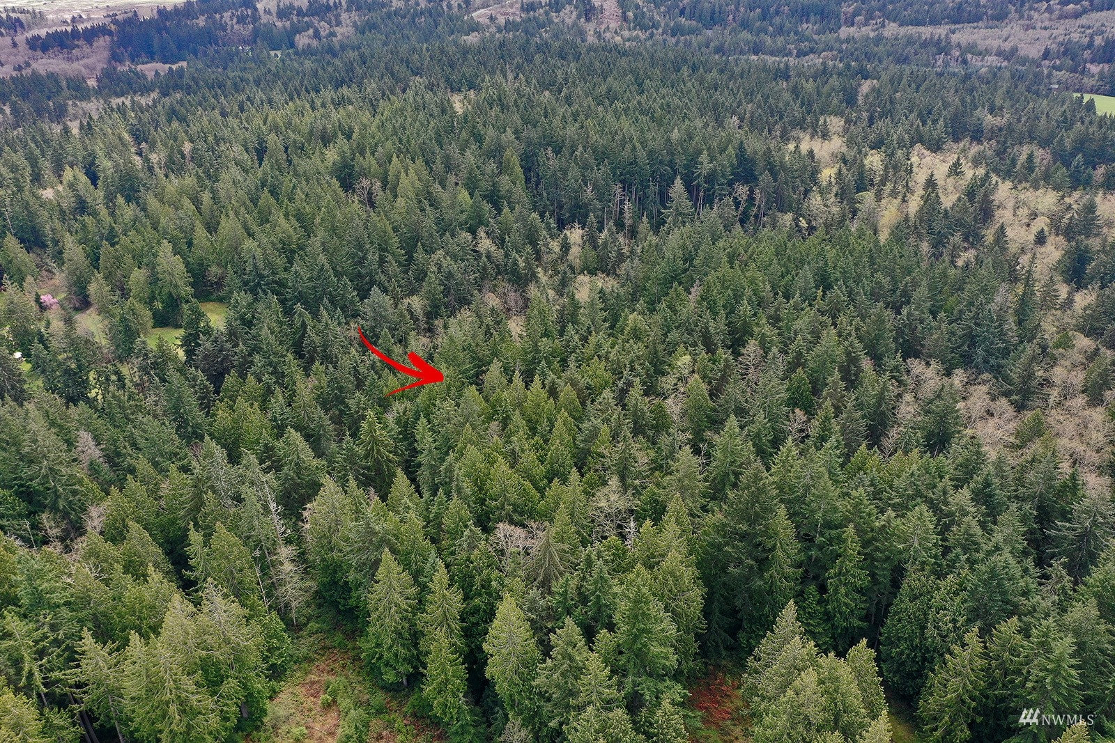 0 Fiske Road Clinton, WA 98236 - Photo 5 of 15 Gallery Image 5