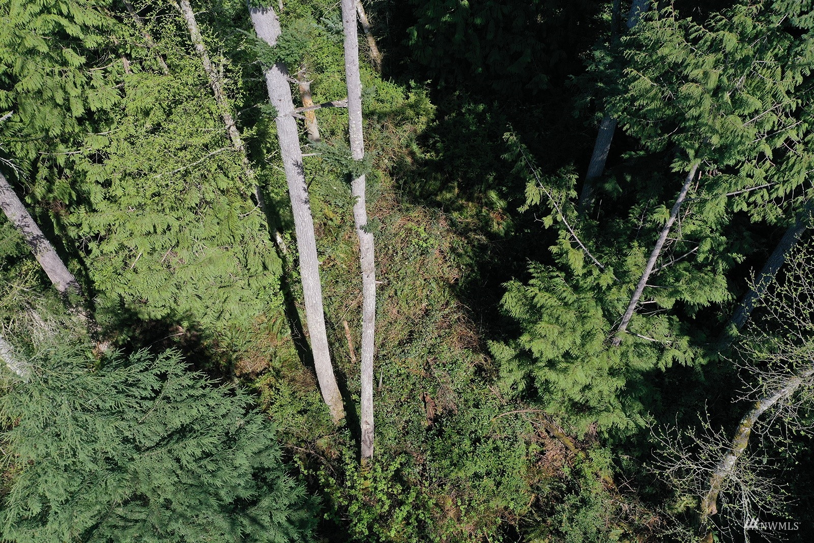 0 Fiske Road Clinton, WA 98236 - Photo 7 of 15 Gallery Image 7