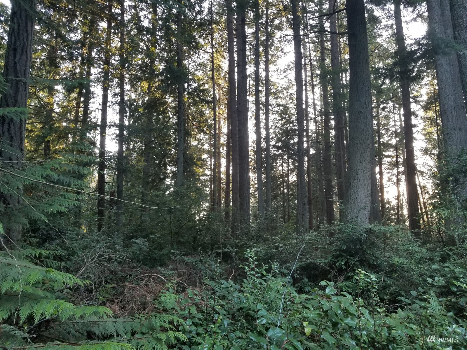0 Fiske Road Clinton, WA 98236 - Photo 10 of 15 Gallery Image 10