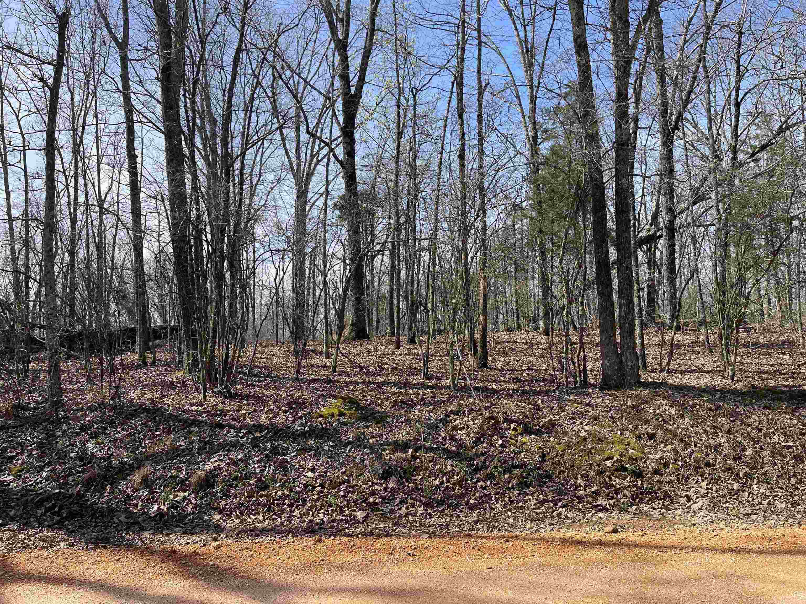 11 Liberty Road Morris Chapel, TN 38361 - Photo 11 of 20 a view of a yard with trees