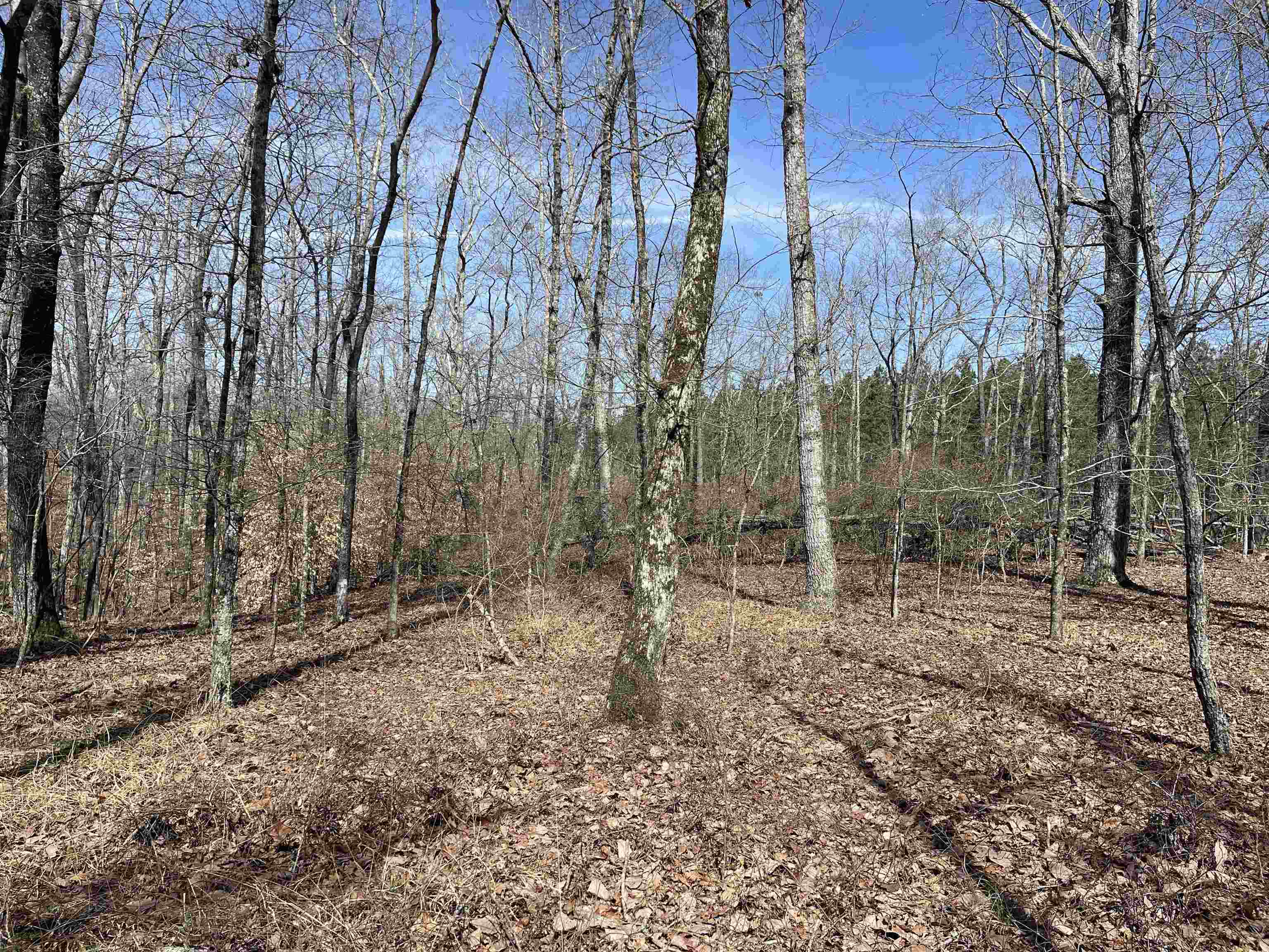 11 Liberty Road Morris Chapel, TN 38361 - Photo 12 of 20