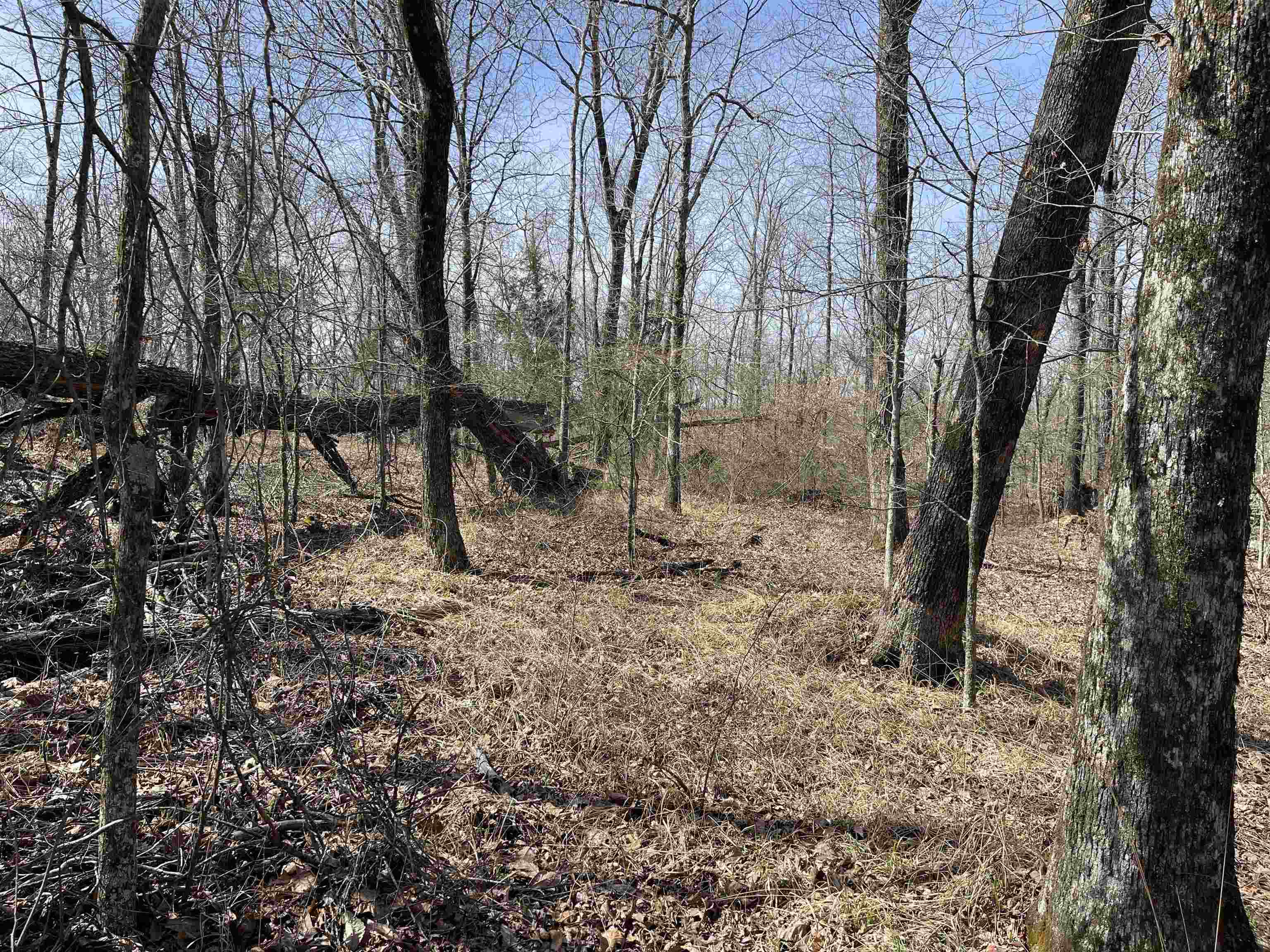 11 Liberty Road Morris Chapel, TN 38361 - Photo 13 of 20