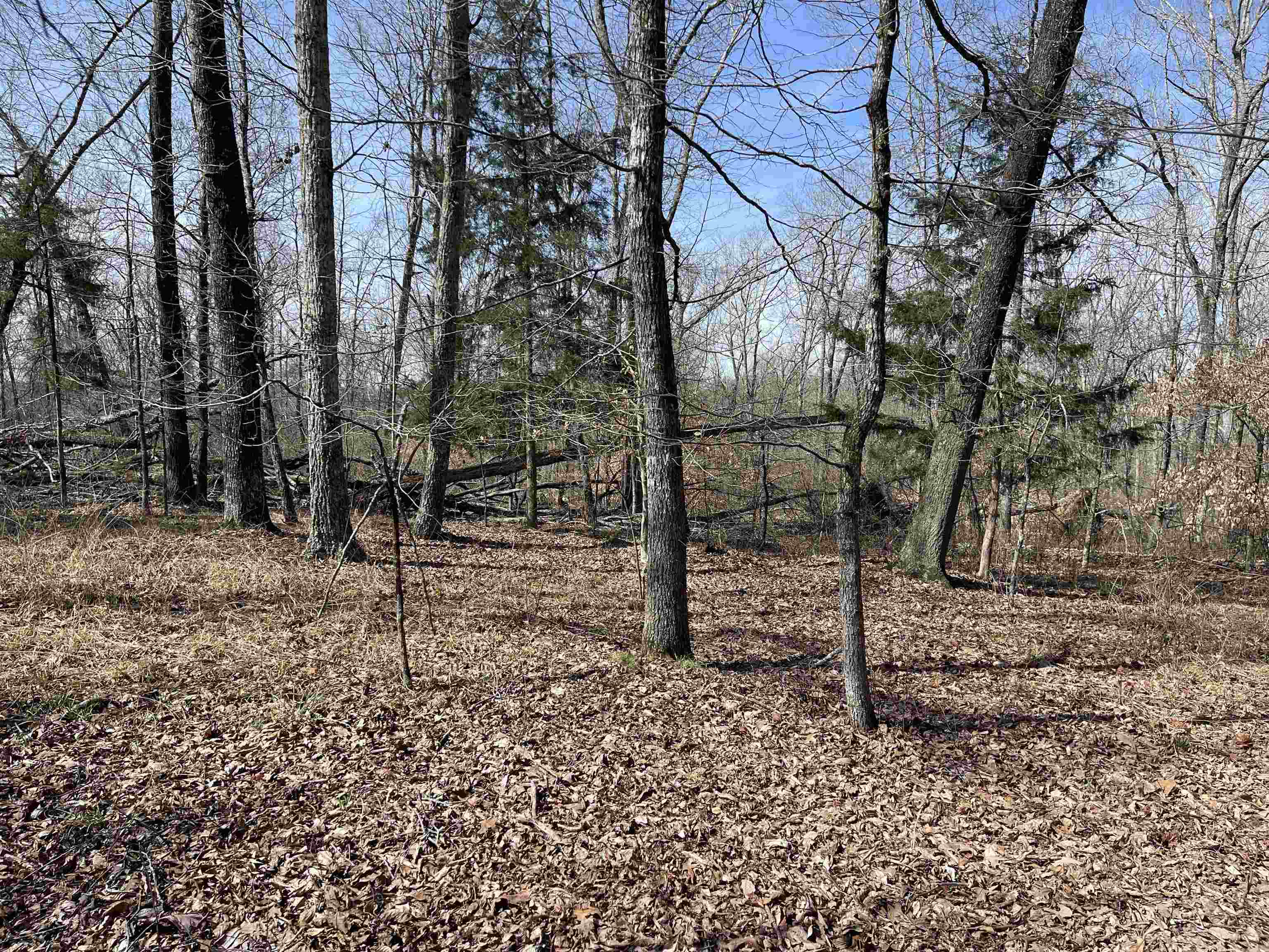 11 Liberty Road Morris Chapel, TN 38361 - Photo 14 of 20