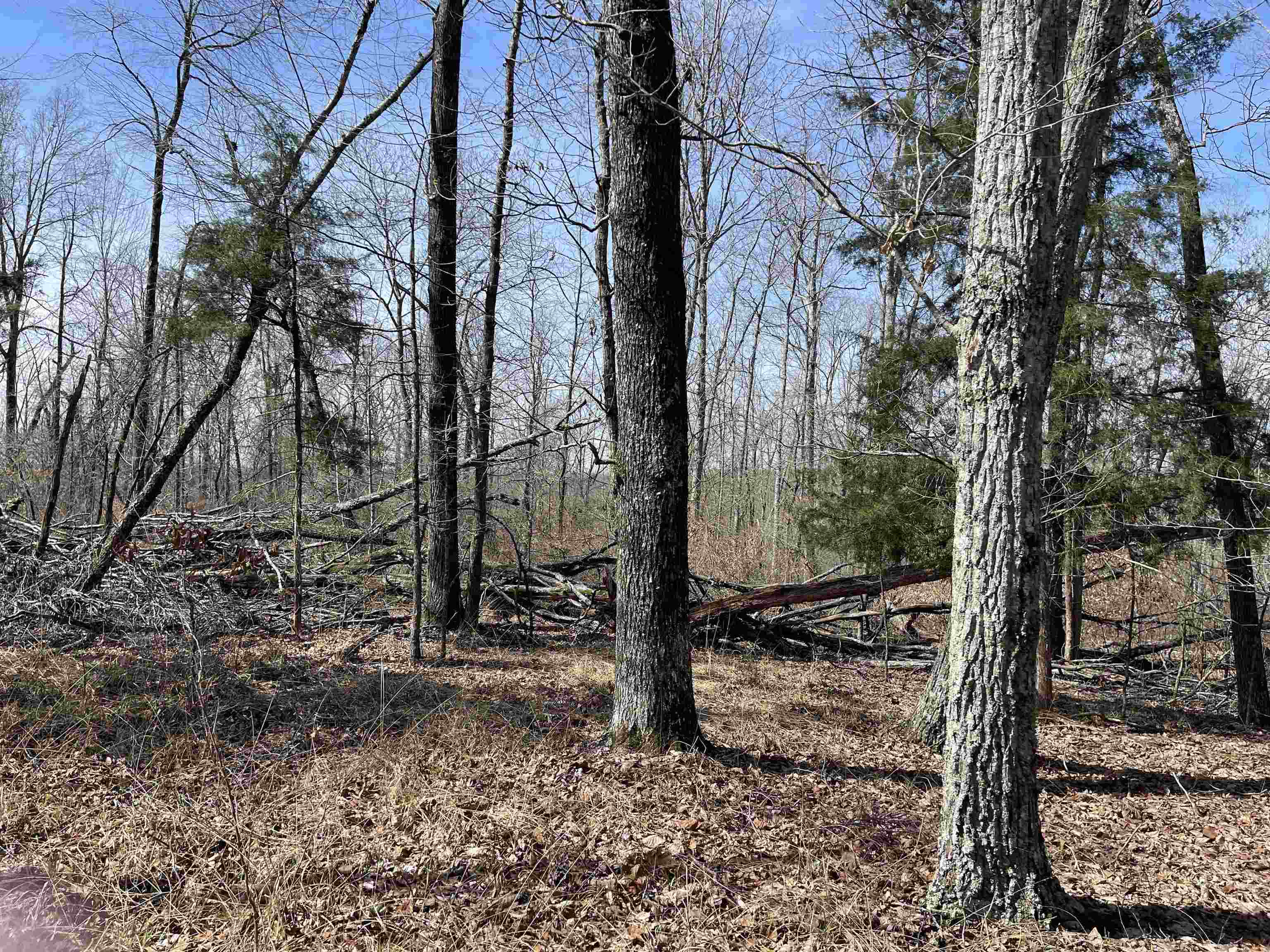 11 Liberty Road Morris Chapel, TN 38361 - Photo 15 of 20