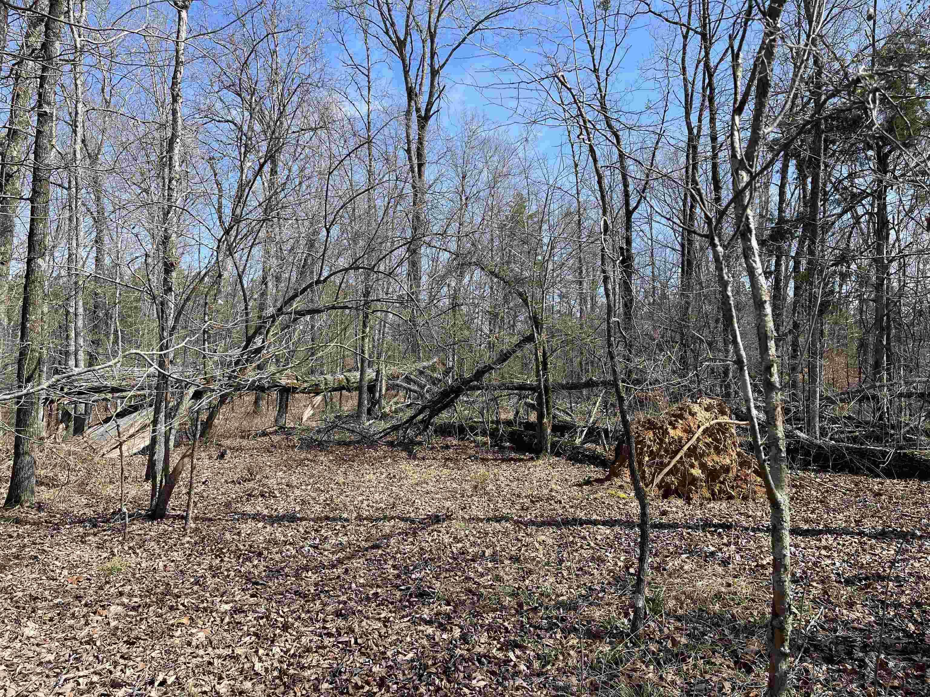 11 Liberty Road Morris Chapel, TN 38361 - Photo 16 of 20