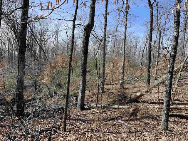 $61,000 | 11 Liberty Road, Morris Chapel, TN 38361