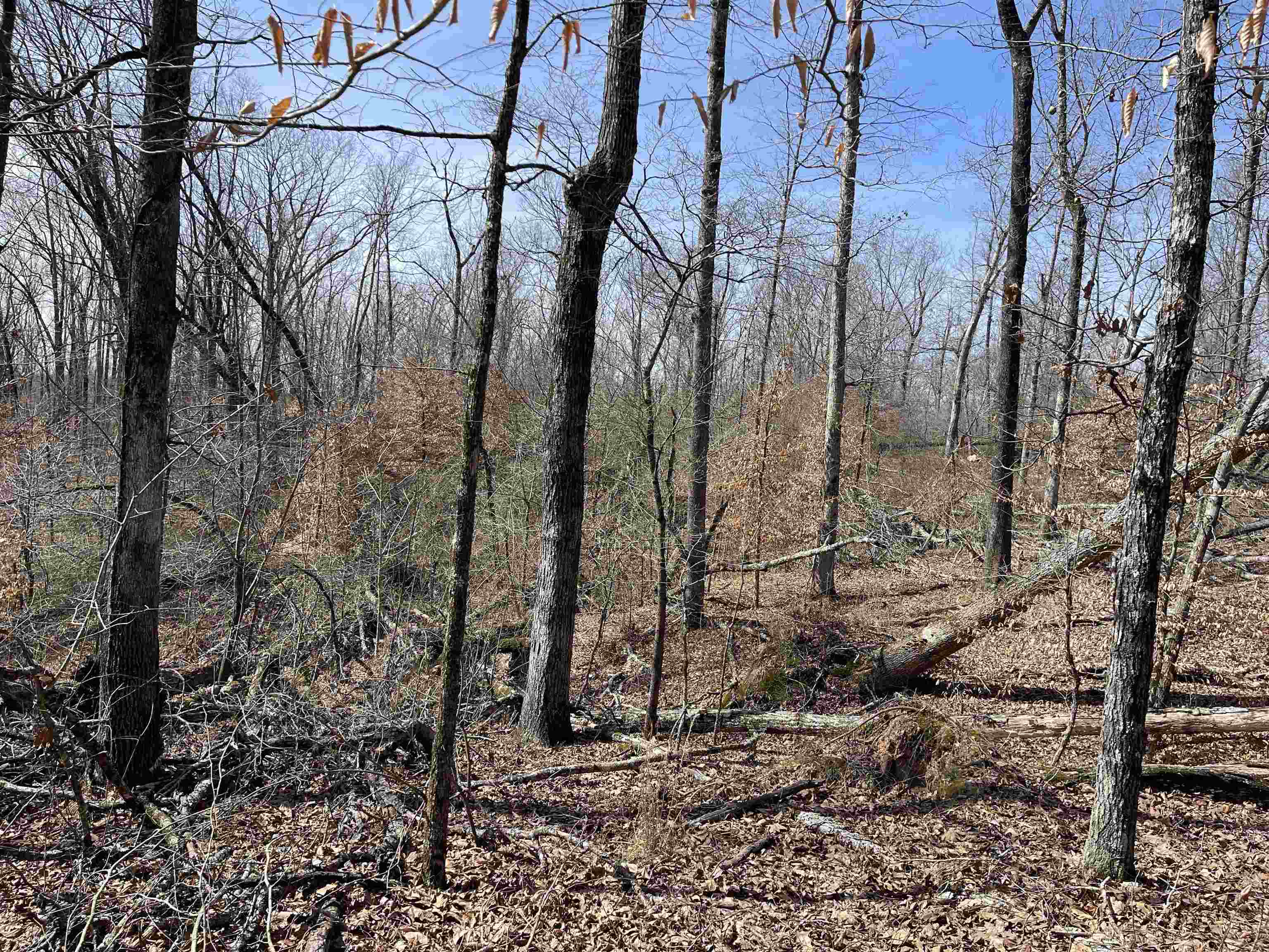 11 Liberty Road Morris Chapel, TN 38361 - Photo 17 of 20