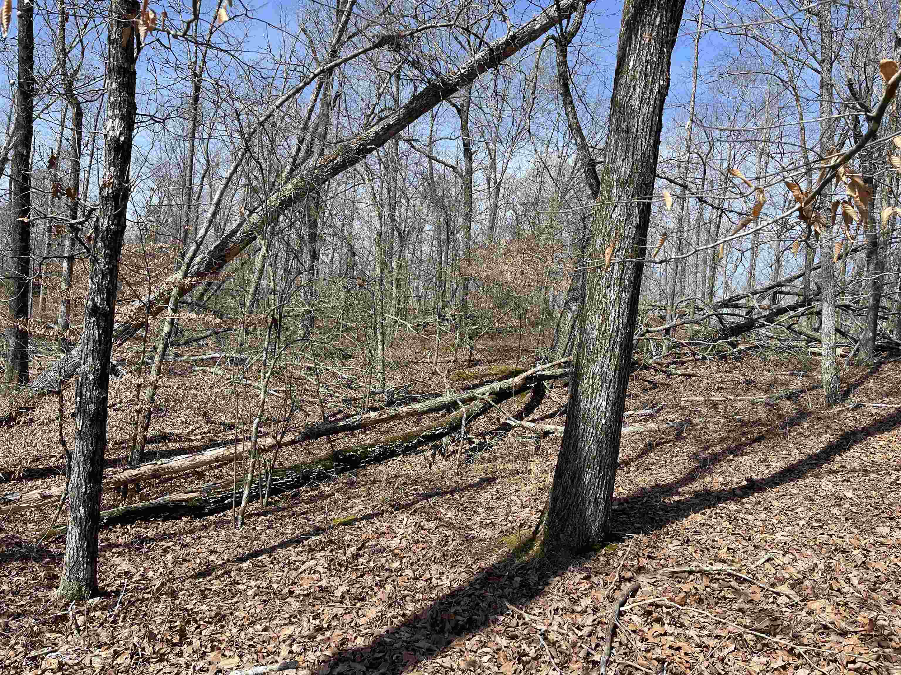 11 Liberty Road Morris Chapel, TN 38361 - Photo 18 of 20