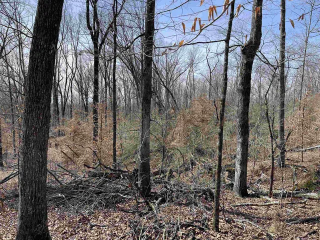 $61,000 | 11 Liberty Road, Morris Chapel, TN 38361