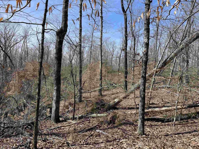 $61,000 | 11 Liberty Road, Morris Chapel, TN 38361