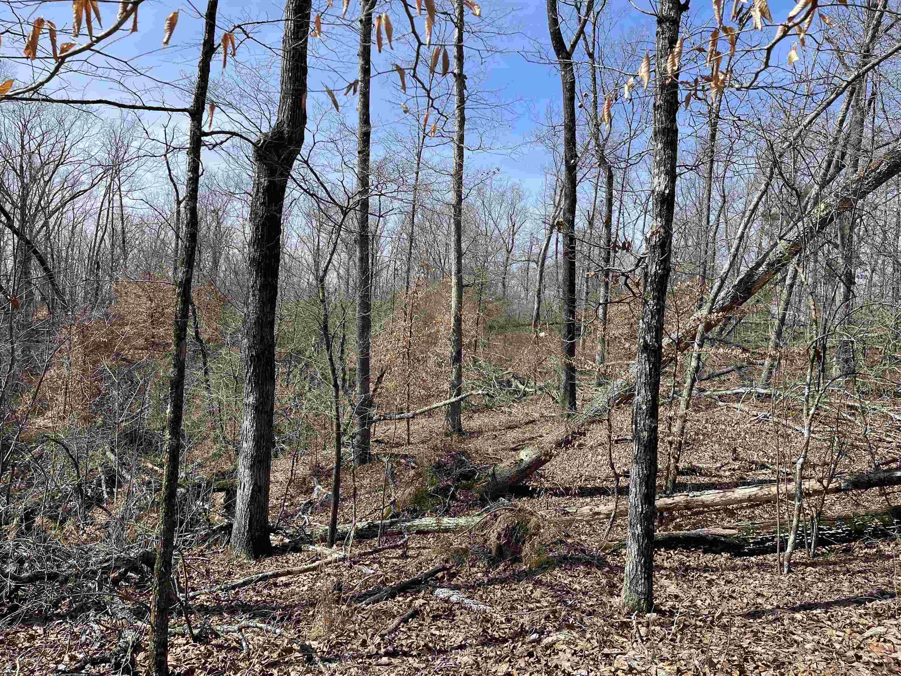 11 Liberty Road Morris Chapel, TN 38361 - Photo 20 of 20