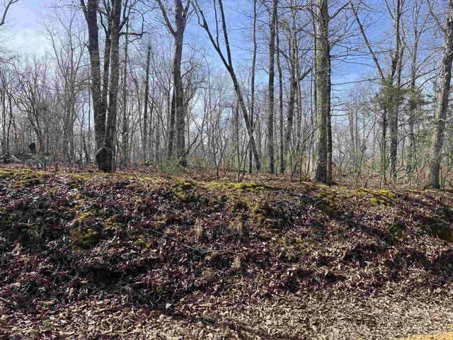 $61,000 | 11 Liberty Road, Morris Chapel, TN 38361