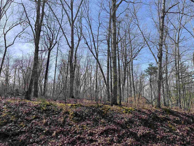 $61,000 | 11 Liberty Road, Morris Chapel, TN 38361