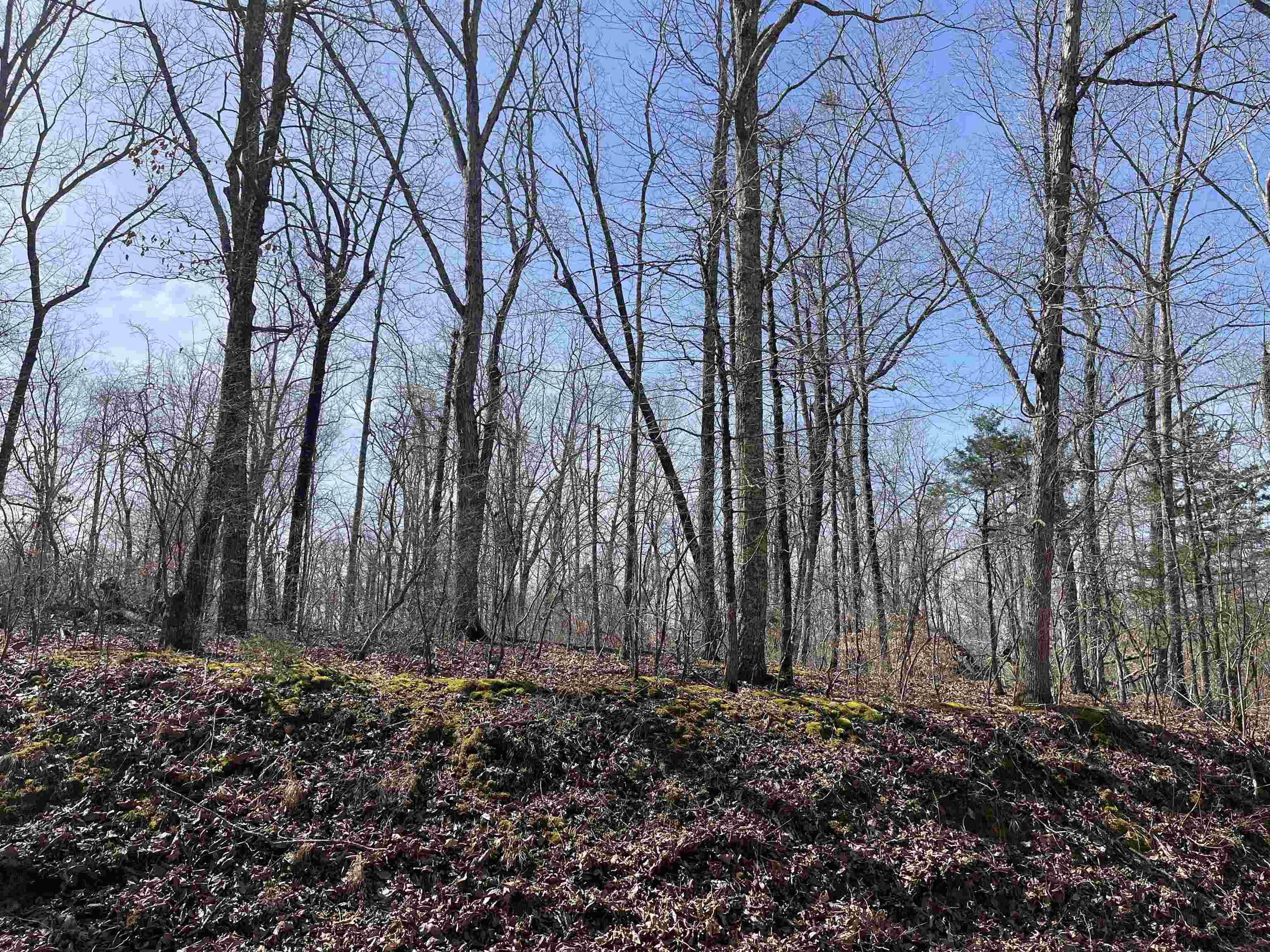 11 Liberty Road Morris Chapel, TN 38361 - Photo 6 of 20