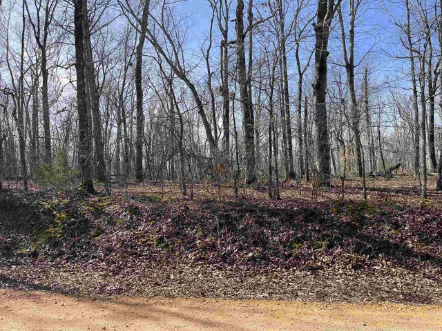 $61,000 | 11 Liberty Road, Morris Chapel, TN 38361