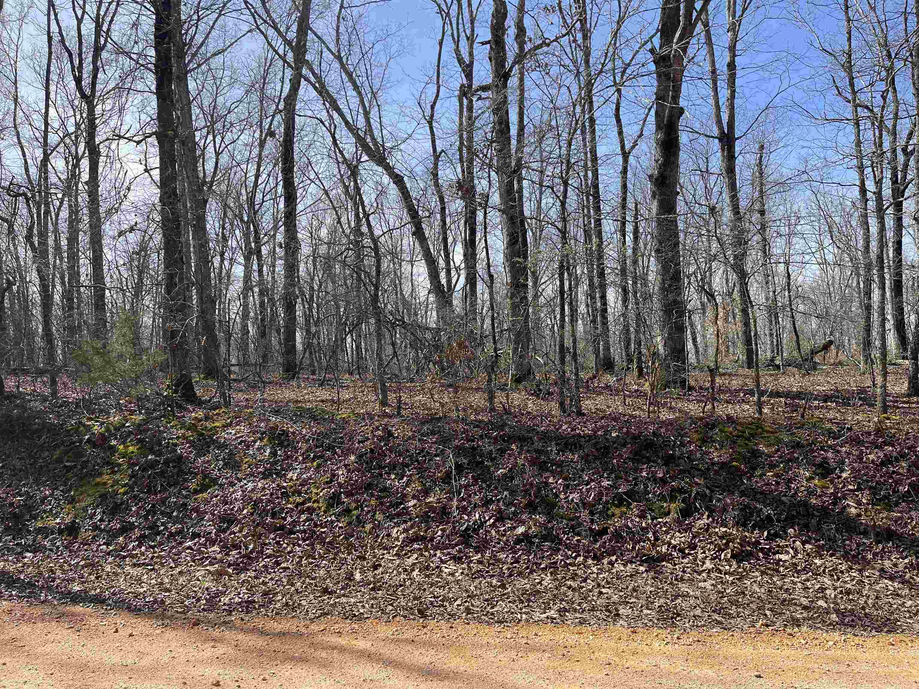 11 Liberty Road Morris Chapel, TN 38361 - Photo 8 of 20