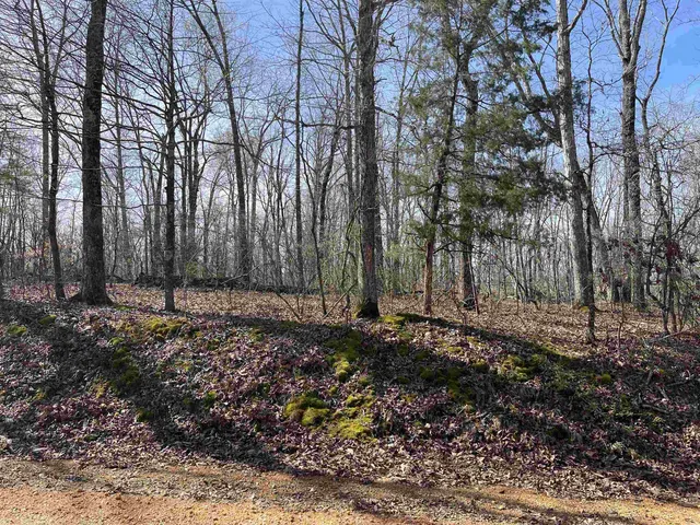 $61,000 | 11 Liberty Road, Morris Chapel, TN 38361