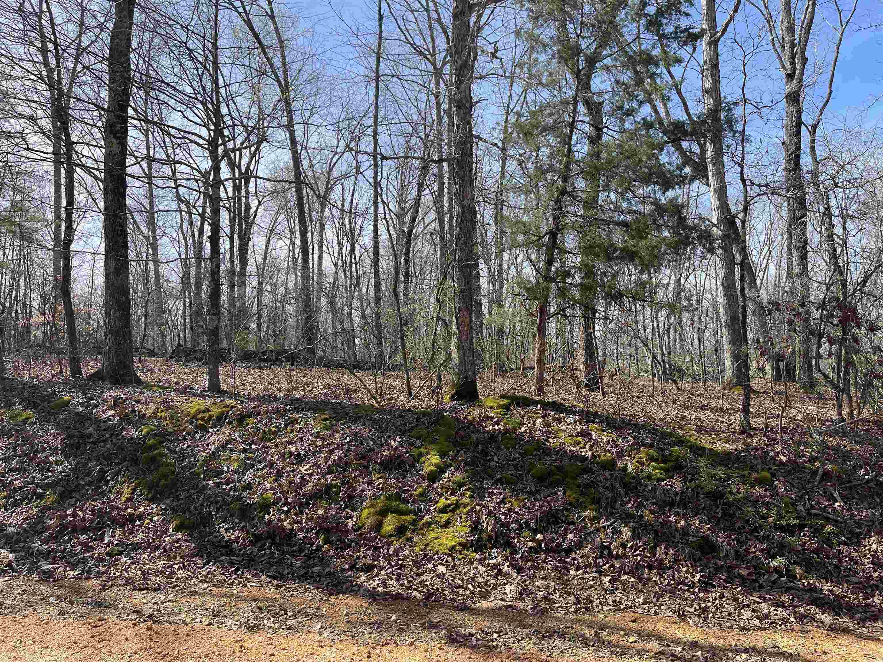 11 Liberty Road Morris Chapel, TN 38361 - Photo 9 of 20