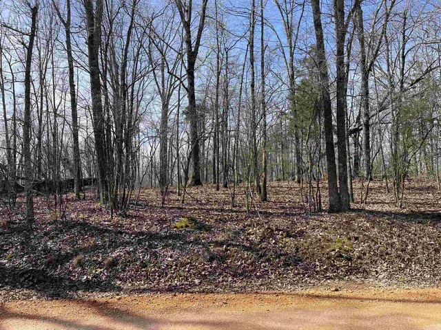 $61,000 | 11 Liberty Road, Morris Chapel, TN 38361