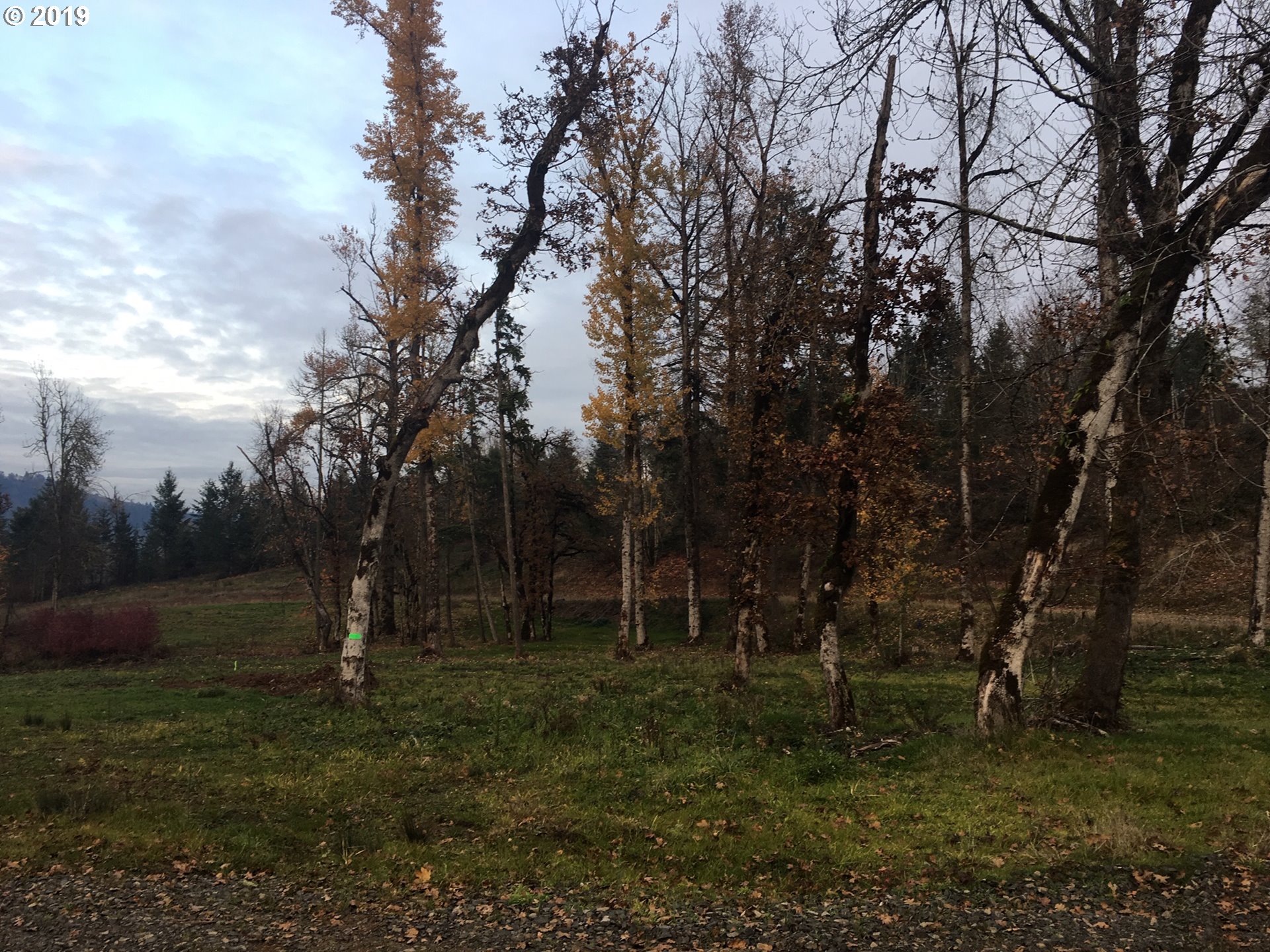 Gonyea Road Eugene, OR 97405 - Photo 1 of 5