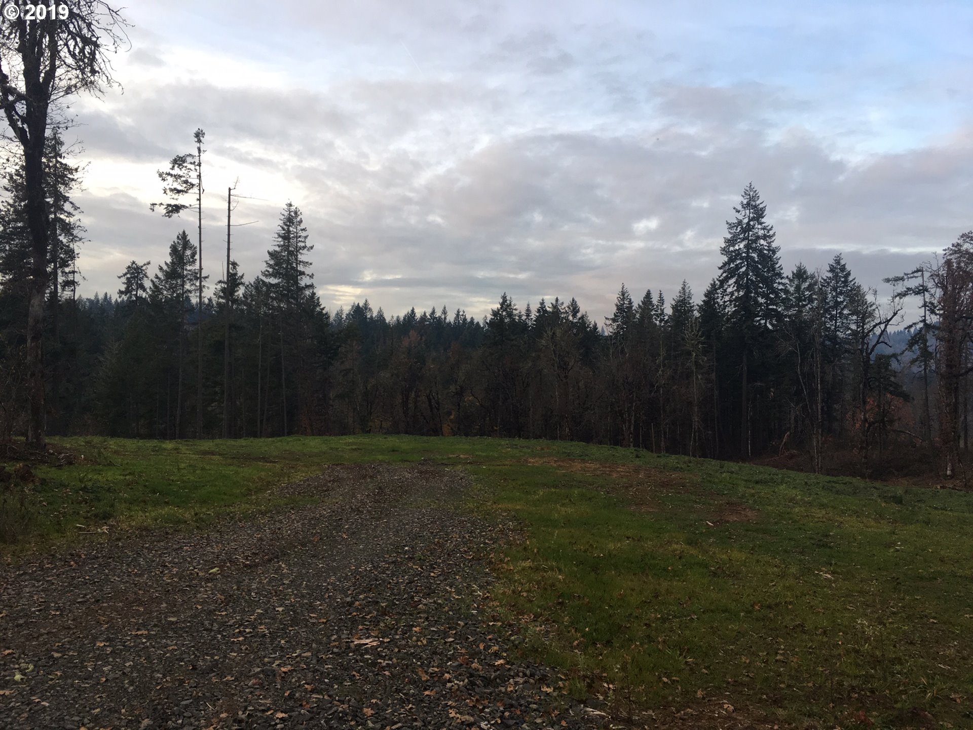 Gonyea Road Eugene, OR 97405 - Photo 2 of 5