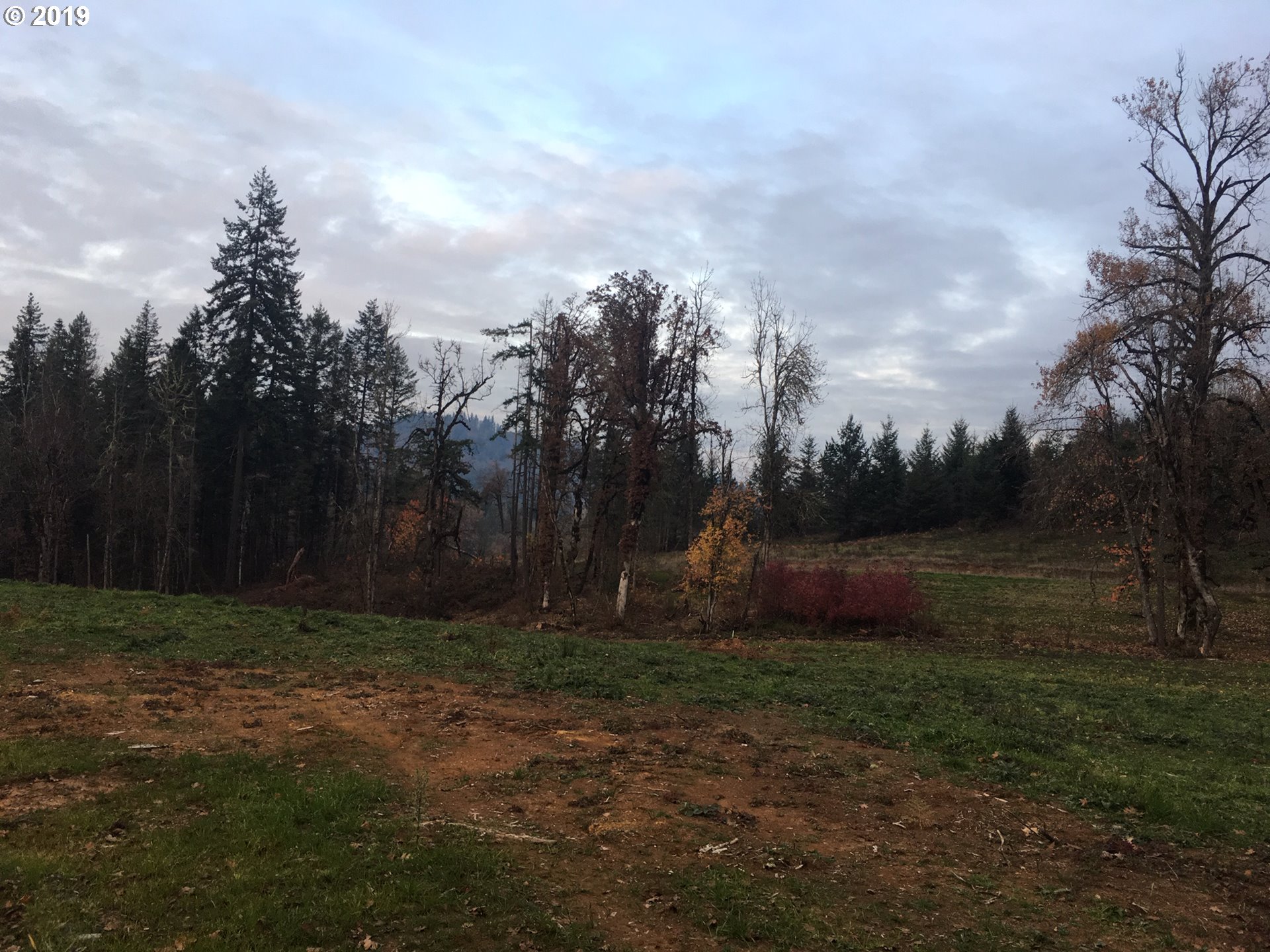 Gonyea Road Eugene, OR 97405 - Photo 3 of 5